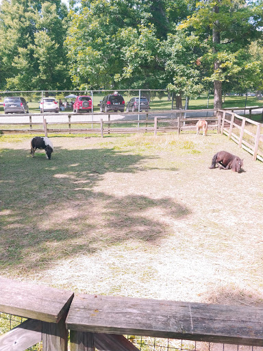 Museum «Elgin Public Museum», reviews and photos, 225 Grand Blvd, Elgin, IL 60120, USA