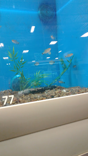 Pet Supply Store «PetSmart», reviews and photos, 901 US-1, North Brunswick Township, NJ 08902, USA