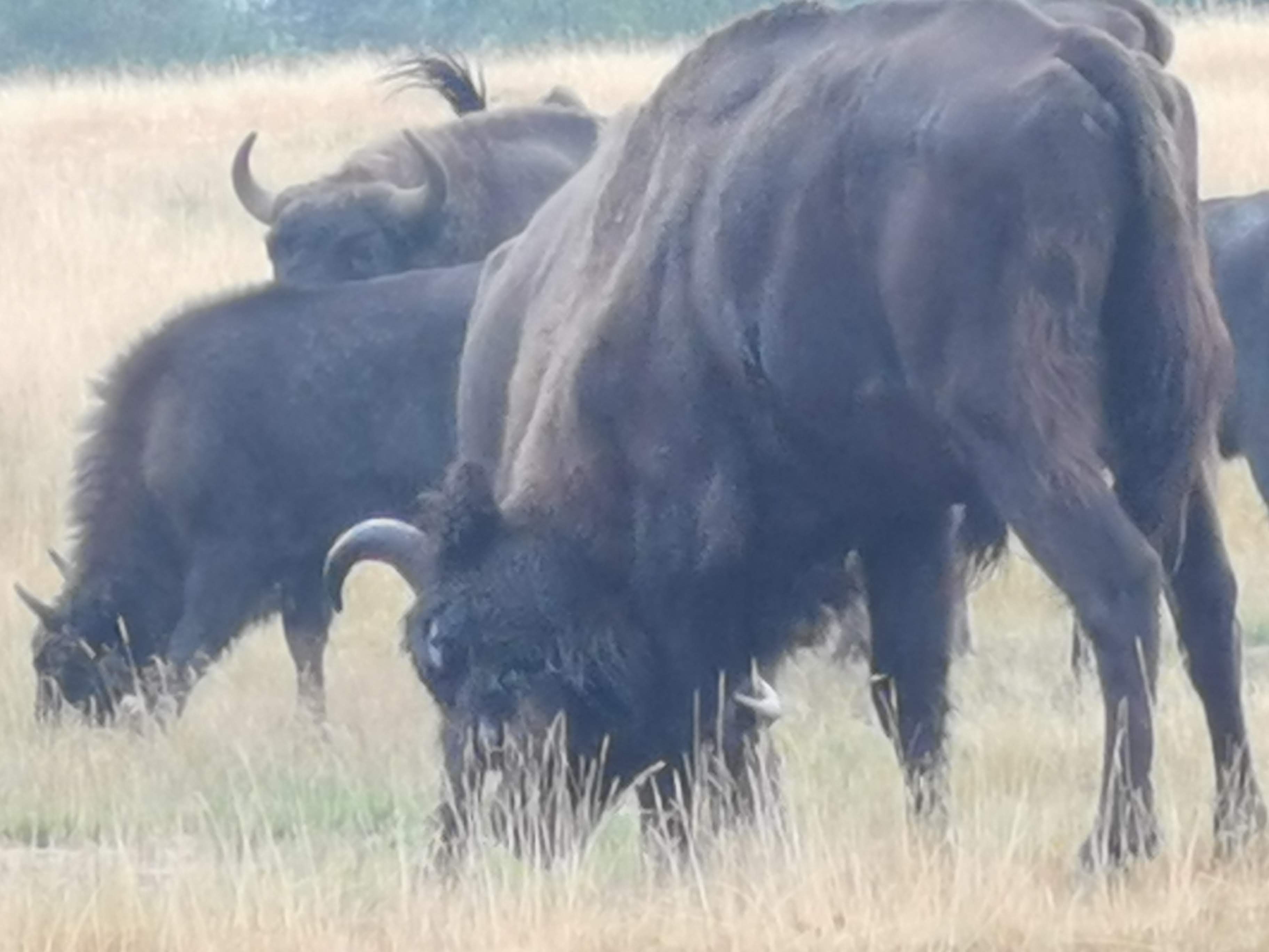 Photo n° 2 de l'avis de Sandrine.e fait le 09/08/2019 à 14:07