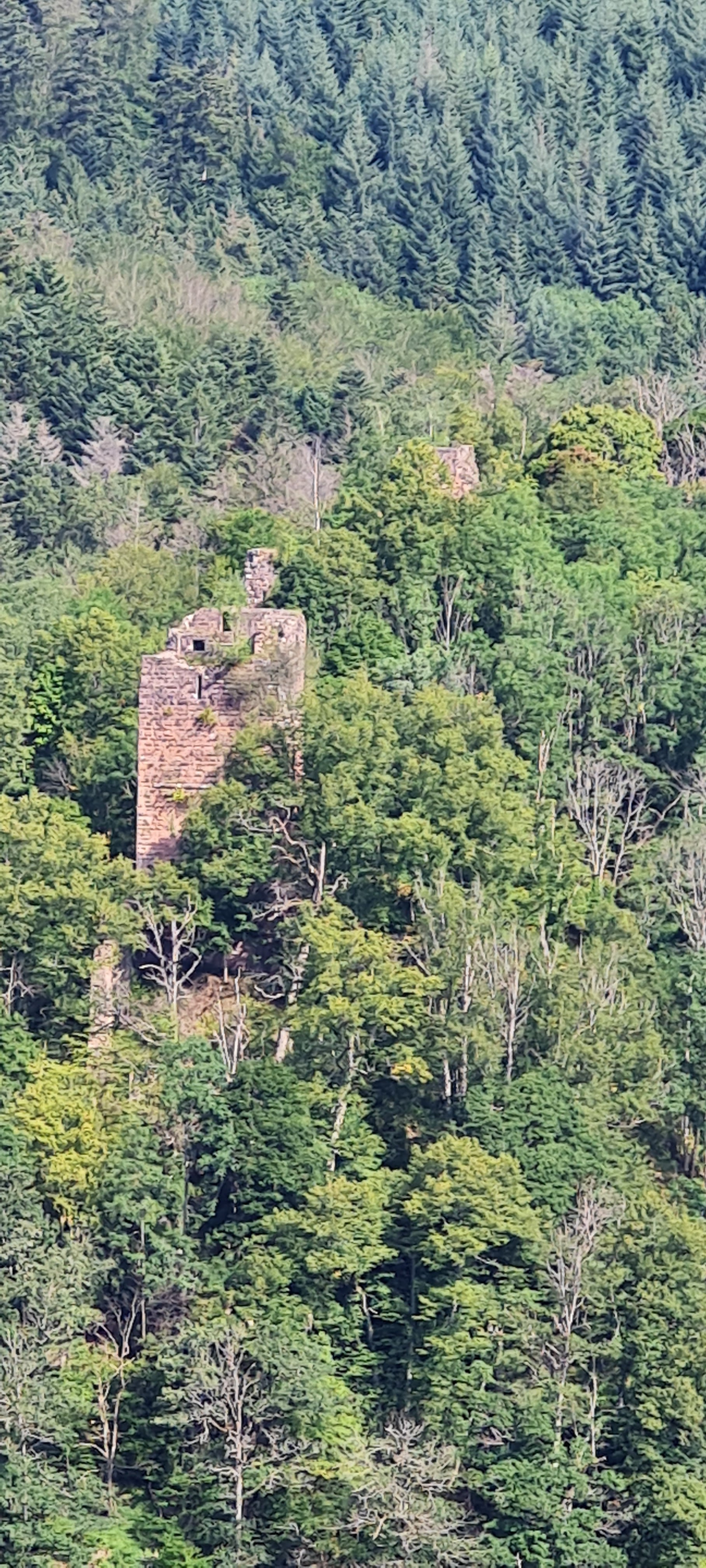 Photo n° 1 de l'avis de Franz.i fait le 12/08/2021 à 09:19