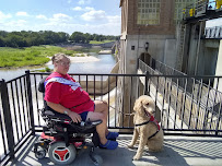 Glad Wags Tulsa - Photo 6 - Car repair in Tulsa, OK, Tulsa