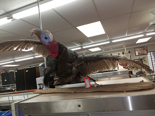 Pawn Shop «Texas Dollar Pawn & Gun», reviews and photos, 1000 TX-78, Wylie, TX 75098, USA