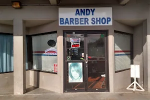 Andy Professional Barber Shop image