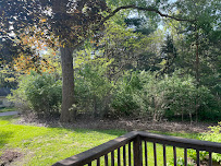 Reynolds Field Clearing and Lot Maintenance - Photo 5 - Car repair in , Lansing