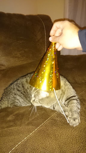 Pet Supply Store «Petco Animal Supplies», reviews and photos, 309 Worth Ave #123, Stafford, VA 22554, USA