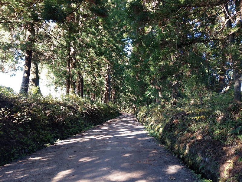 杉並木公園