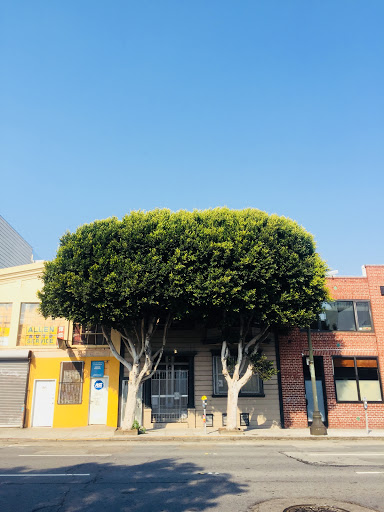 Auto Repair Shop «The Garage - SF», reviews and photos, 340 10th St, San Francisco, CA 94103, USA