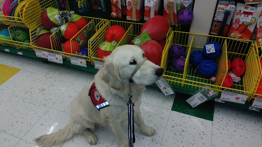 Pet Supply Store «Pet Supplies Plus», reviews and photos, 987 S Main St, Centerville, OH 45458, USA