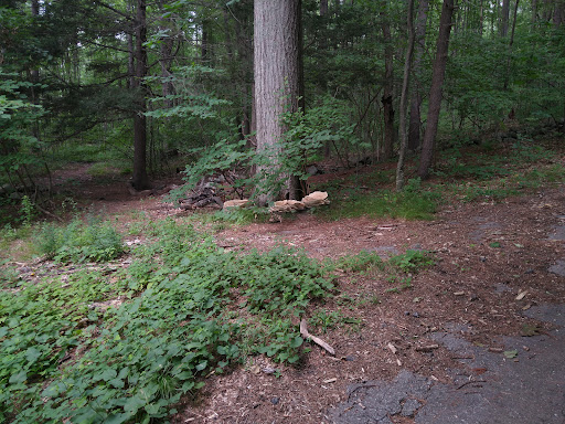 Golf Club «Crystal Lake Golf Club», reviews and photos, 940 N Broadway, Haverhill, MA 01832, USA