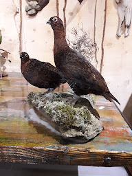 Photo n°11 de Natural'pro à Corbeny ()