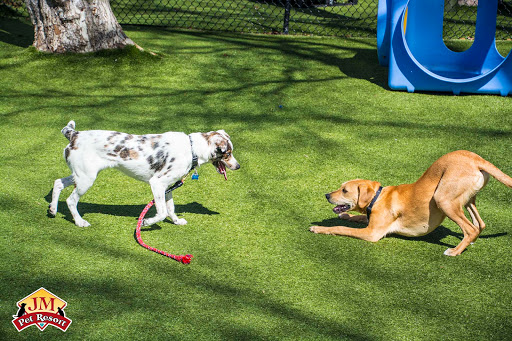 Dog Day Care Center «J.M. Pet Resort», reviews and photos, 1014 Pearl St, Brockton, MA 02301, USA