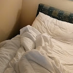 Photo n°2 de l'avis de Sushil.a fait le 10/03/2023 à 19:34 sur le  Villa Cagnola à Gazzada Schianno