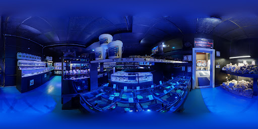 Aquarium «Aquatic Design & Development Group, LLC», reviews and photos, 1725 SW 17th St, Ocala, FL 34471, USA