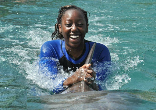 Tour Agency «Miami Swim With Dolphin Tours», reviews and photos, 247 SW 8th St, Miami, FL 33130, USA