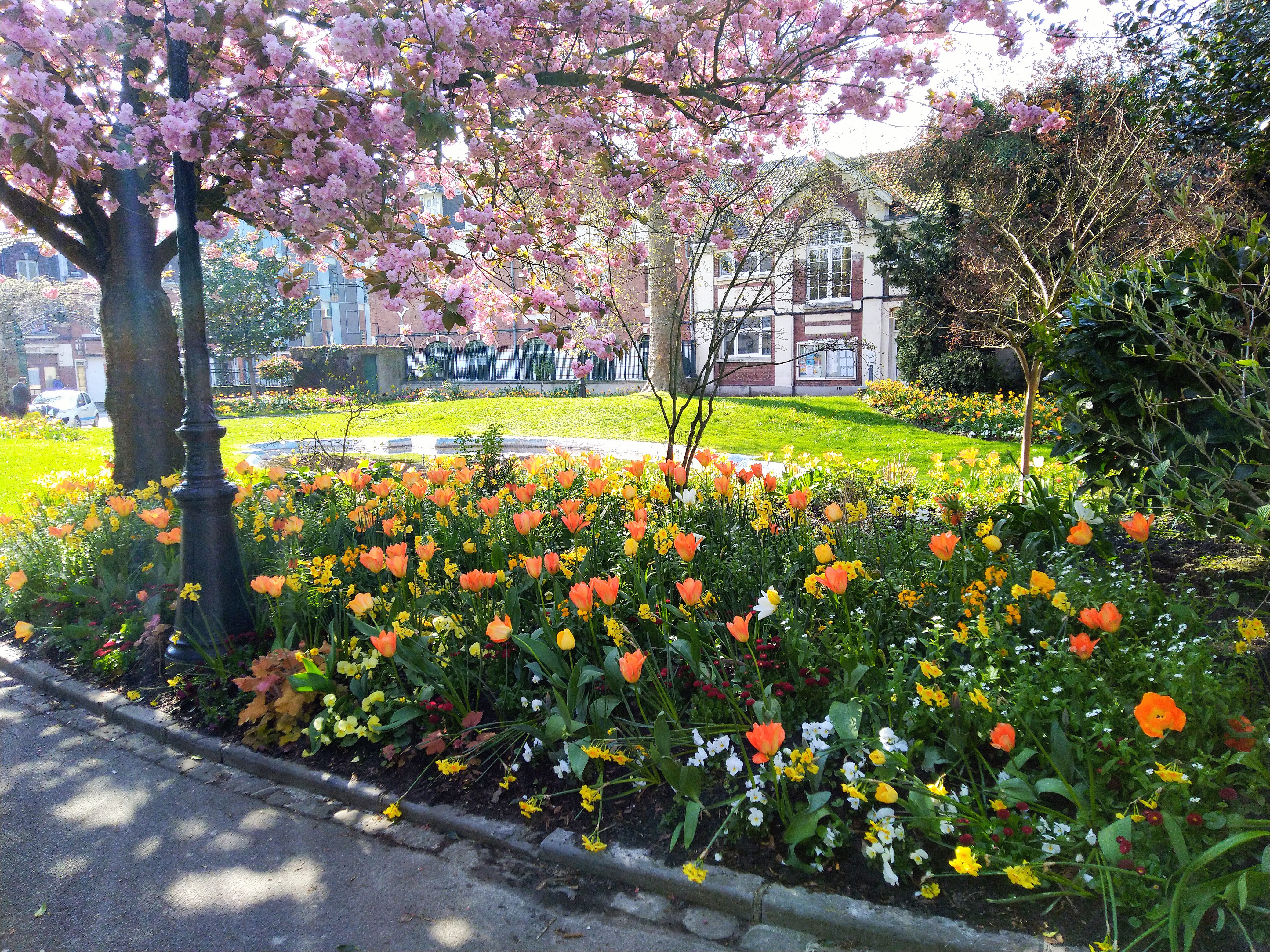 Photo n° 1 de l'avis de Aina.a fait le 10/04/2019 à 15:40