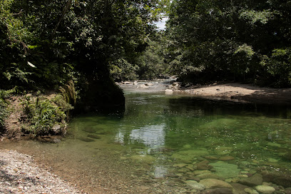 Selva Vides Reserva Natural
