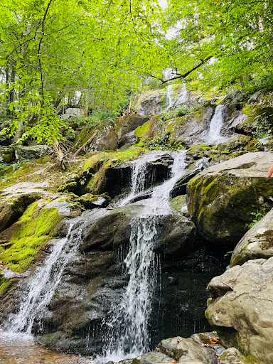 National Park «Shenandoah National Park», reviews and photos