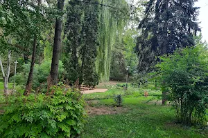 Grădina Botanică Paul Țarălungă image