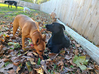 Taj Mapaw II - Photo 7 - Car repair in Roanoke, VA, Roanoke
