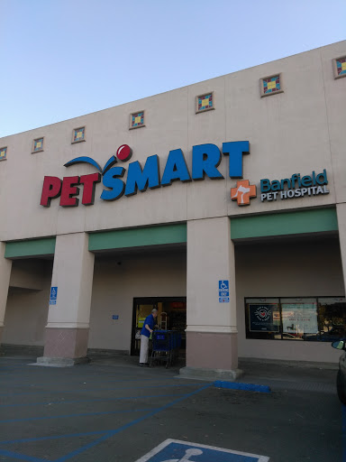 PetSmart, 595 E Hospitality Ln, San Bernardino, CA 92408, USA, 