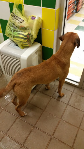 Pet Supply Store «Pet Supplies Plus», reviews and photos, 605 Grand Central Ave, Vienna, WV 26105, USA