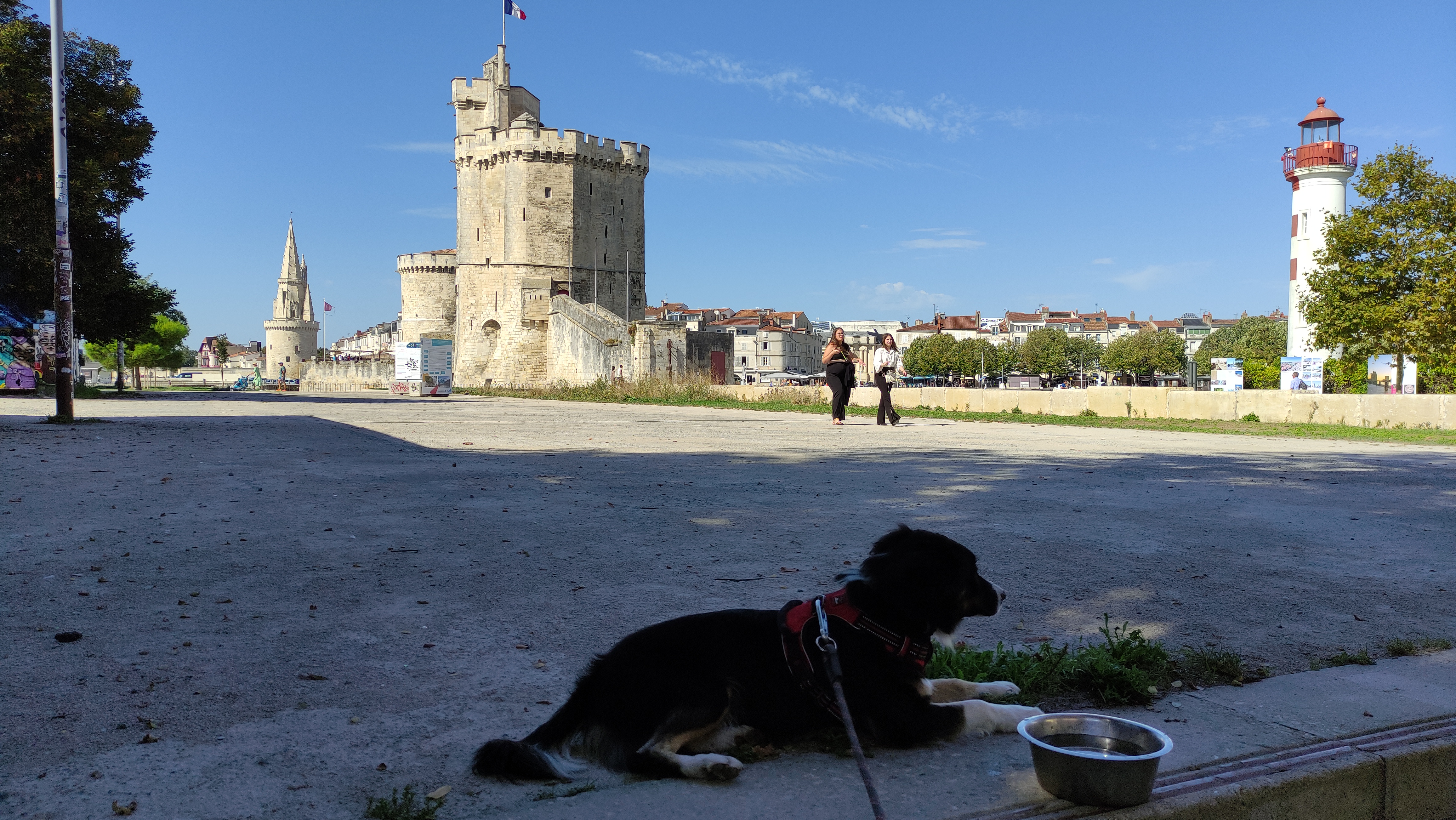 Photo n° 3 de l'avis de Guy.a fait le 04/10/2023 à 05:22
