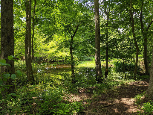 Golf Course «Spooky Brook Golf Course», reviews and photos, 582 Elizabeth Ave, Somerset, NJ 08873, USA