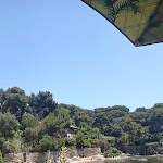 Photo n° 7 de l'avis de Flavien.o fait le 25/06/2023 à 13:35 pour Le Poisson Rouge - restaurant Giens à Hyères