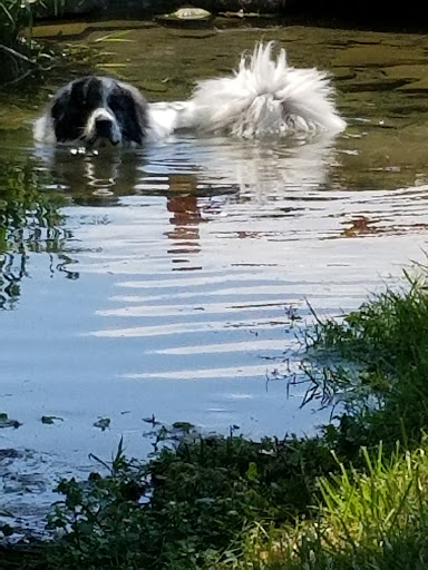 Park «Rose Hill Manor Park», reviews and photos, 1611 N Market St, Frederick, MD 21701, USA