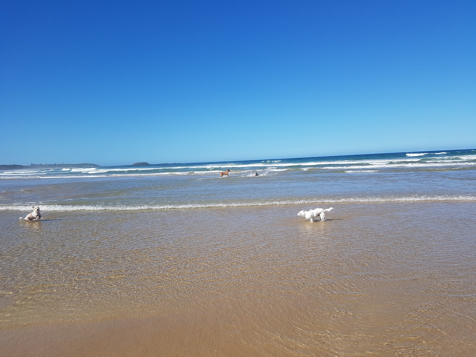 Photo of Woolgoolga Back Beach located in natural area