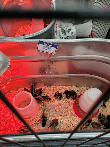 Home Improvement Store «Tractor Supply Co.», reviews and photos, 716 Mohawk St, Herkimer, NY 13350, USA