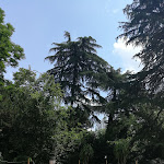 Photo n°3 de l'avis de Marco.o fait le 15/08/2021 à 12:57 sur le  Ristorante Club Villa Meraville à Bologna