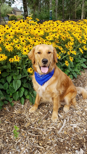 Park «Pioneer Park», reviews and photos, 14545 NW Pioneer Rd, Beaverton, OR 97006, USA