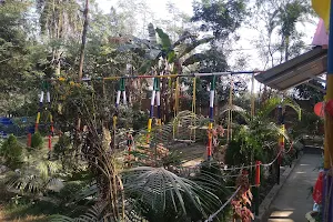 দেবগ্রাম পিকনিক গার্ডেন(Picnic Garden) image