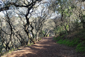 Leona Canyon Regional Open Space Preserve