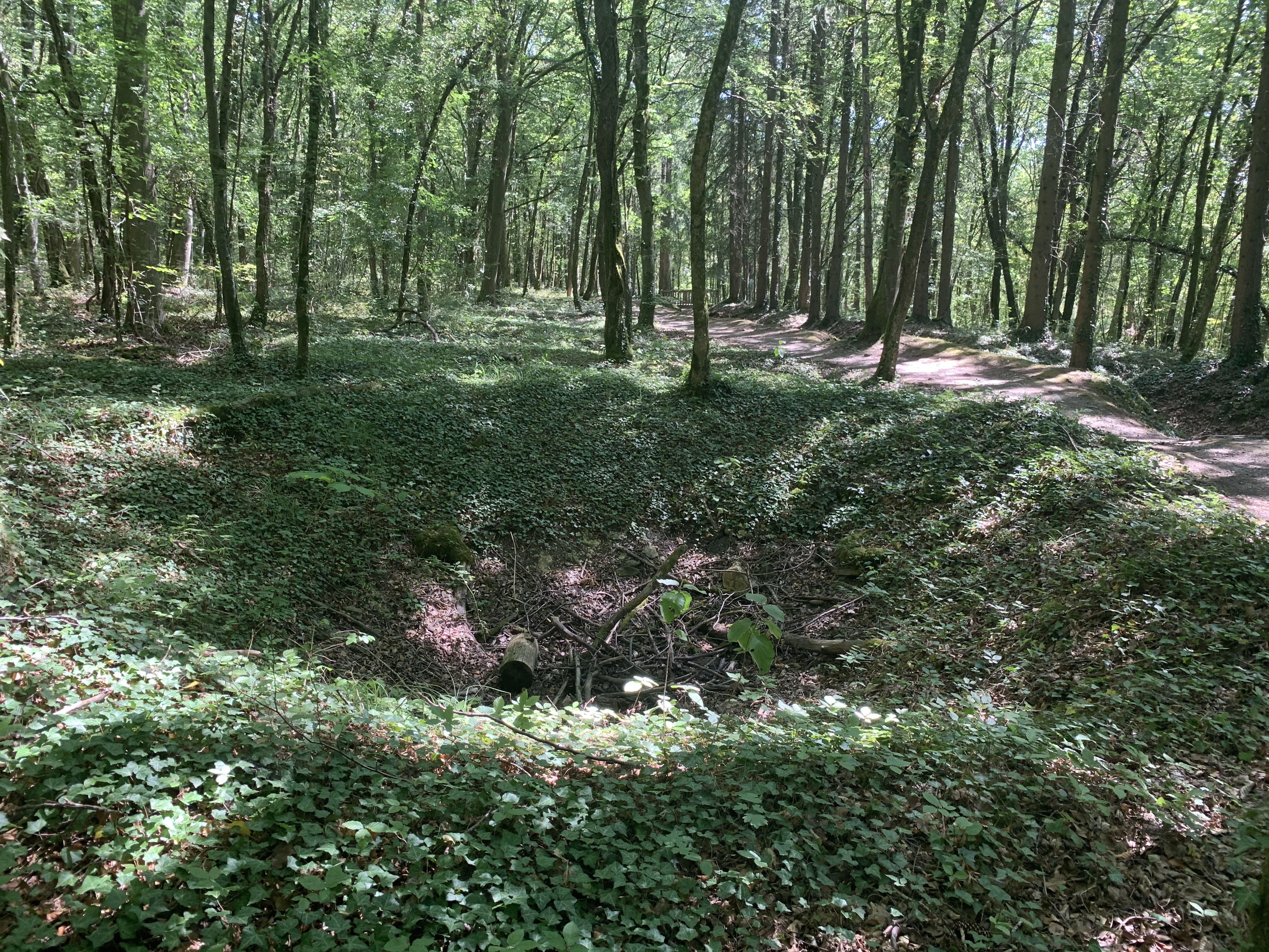 Photo n° 9 de l'avis de Ivo. fait le 18/08/2020 à 21:12