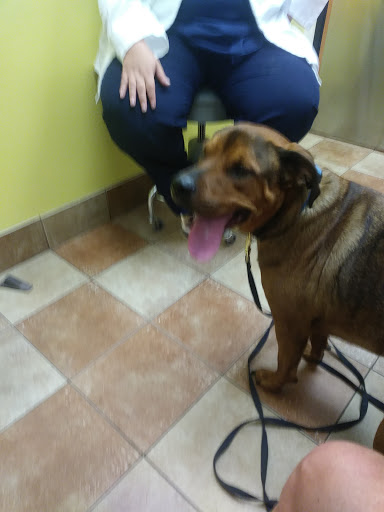 Pet Supply Store «PetSmart», reviews and photos, 533 S Tracy St, Wichita, KS 67209, USA