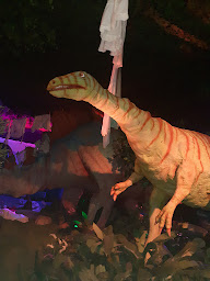 Photo n°28 de Pause Kebab Wittenheim à Wittenheim ()