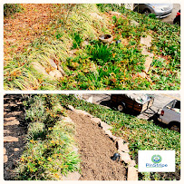 PinStripe Landscaping & Pro Svcs - Photo 9 - Car repair in , Atlanta