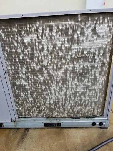 Dollar Store «FAMILY DOLLAR», reviews and photos, 3120 14th St, Plano, TX 75074, USA