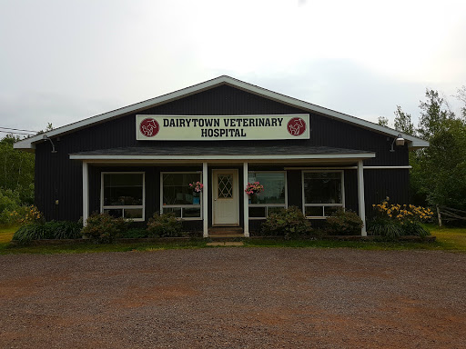 Dairytown Veterinary image