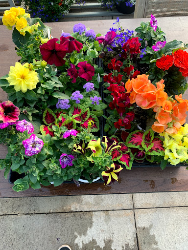 Pet Supply Store «Saybrook Feed & Garden», reviews and photos, 8023 Depot Rd, Ashtabula, OH 44004, USA