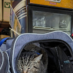 Photo n° 2 de l'avis de Banana.o fait le 06/08/2023 à 16:33 pour Glacier le Saint Fe à Revel