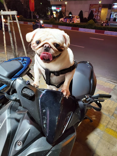 Top 20 cửa hàng air space Quận 11 Hồ Chí Minh 2022