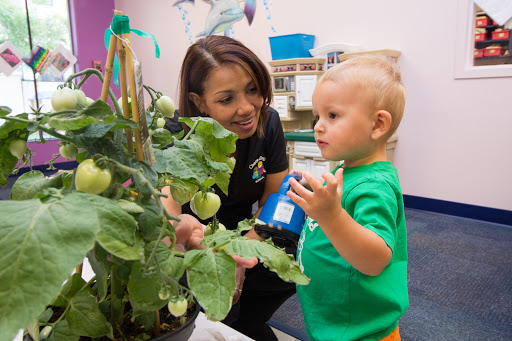 Preschool «Creative World School - Three Oaks», reviews and photos, 19671 Cypress View Dr, Fort Myers, FL 33967, USA