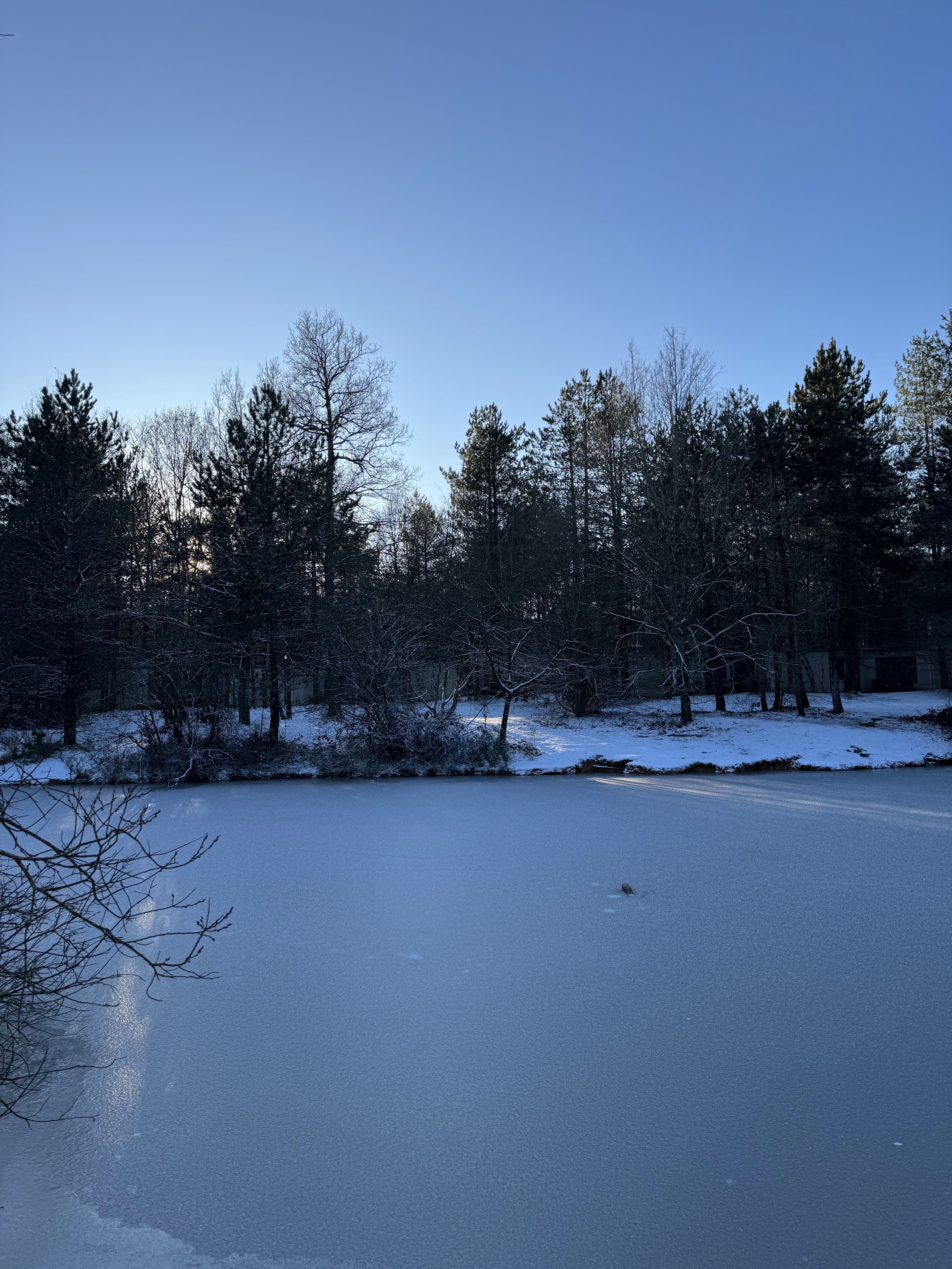 Photo n° 4 de l'avis de Marc.k fait le 21/01/2024 à 10:10