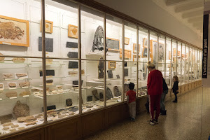 Musée cantonal de géologie