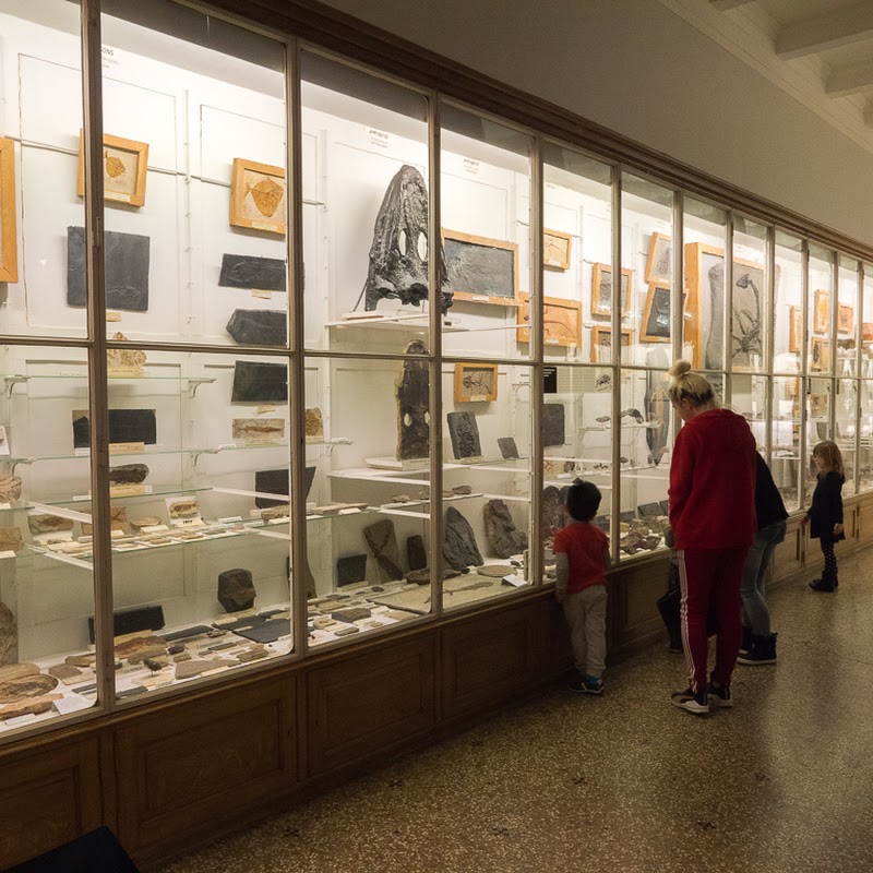 Musée cantonal de géologie