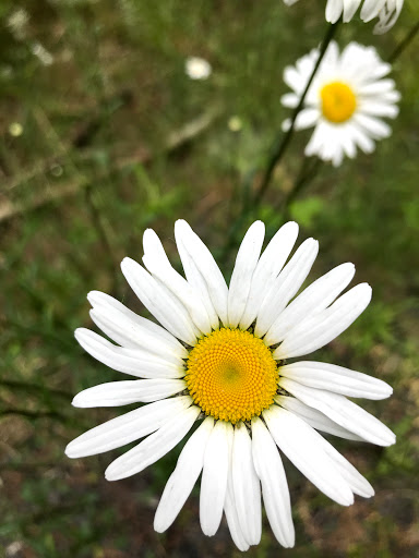 Forestry Service «Hopkins Demonstration Forest», reviews and photos, 16750 S Brockway Rd, Oregon City, OR 97045, USA