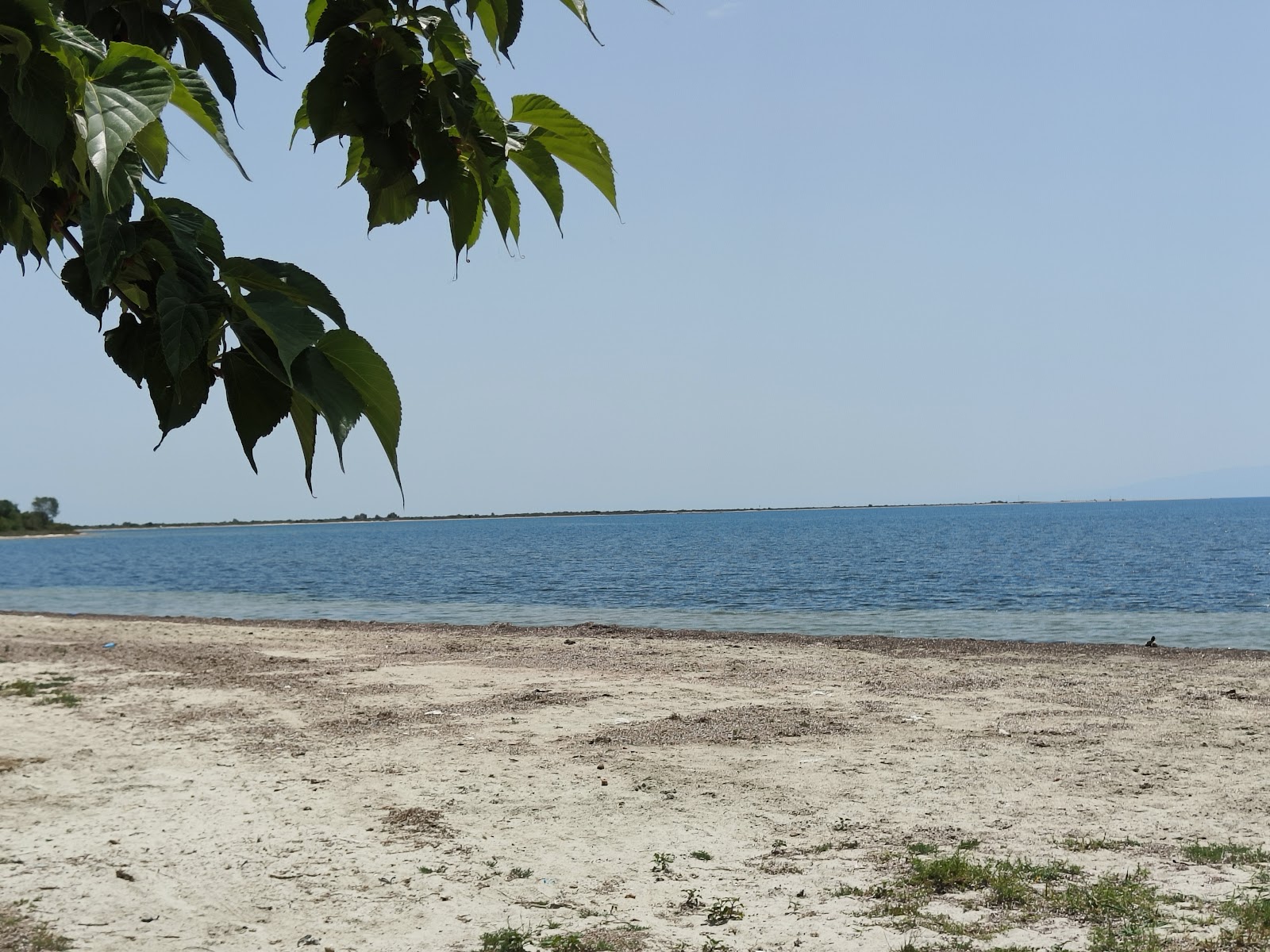 Photo de Epanomi Beach avec un niveau de propreté de très propre